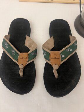 L.L. Bean Flip Flops Dragonfly Print Sz 8 Tan Green Sandals Maine Isle